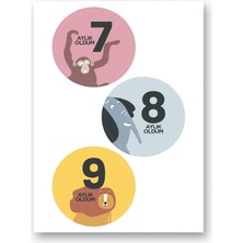 NY Home Lecolor Bebek Seti