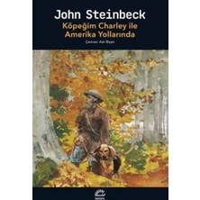 NY Home Köpeğim Charley ile Amerika Yollarında