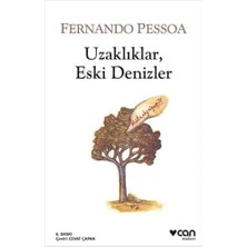 NY Home Uzaklıklar, Eski Denizler