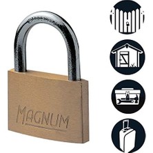 NY Home CAD40T 2 Adet Masif Pirinçten Yapılmış Anahtarlı Büyük Asma Kilit Paketi, Altın Rengi, 5,4 x 4 x 1 cm