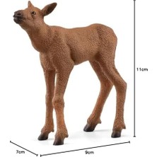 NY Home Sığın Ailesi Oyuncak