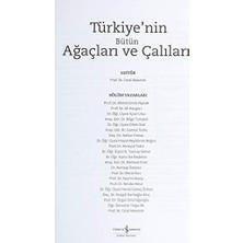 NY Home Türkiyenin Bütün Ağaçları ve Çalıları