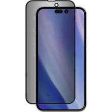 NY Home ile Uyumlu 16 Pro Max Kor Privacy Cam Ekran Koruyucu Siyah