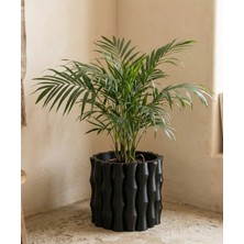 Store Bambu Beton Saksı 5l - Dekoratif Modern Büyük Saksı – Iç Mekan Salon Ofis Bitki Saksısı Yuka Areka Kaktüs