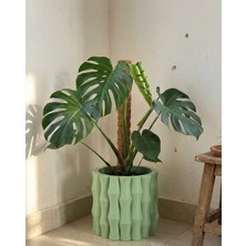 Store Bambu Beton Saksı 5l - Dekoratif Modern Büyük Saksı – Iç Mekan Salon Ofis Bitki Saksısı Yuka Areka Kaktüs