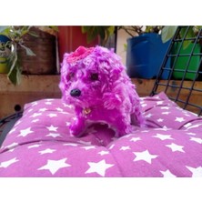 NY Home Mia Pıllı Havlayan Kopek - Mor - 15 cm Oyuncak