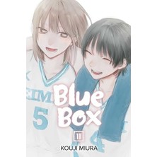 NY Home Blue Box, Vol. 11