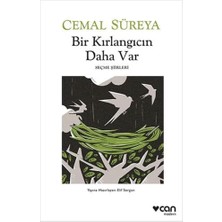 Nesto Home Bir Kırlangıcın Daha Var