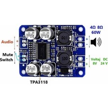 Nesto Home TPA3118 60W Ses Amfi Modülü