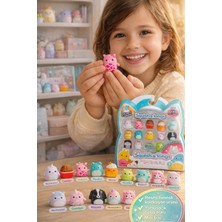 Toyfest Squishmallows 14'lü Squish-A-Longs Mini-Squish Paket Wave 3 Figür Seti Aksesuar Hediyeli