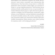 Nesto Home Cepheye Koşan At