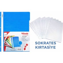 Esselte Mavi Telli Dosya 50 Adet + Şeffaf Poşet Dosya 100 Adet