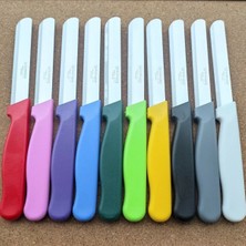 ERHCE Micro Doğrama Bıçağı Alman Paslanmaz Çelik 6 Adet SİMLİ