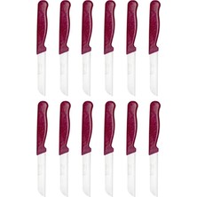 ERHCE Vişne Çürüğü Simli Meyve Bıçağı Alman Paslanmaz Çelik 12'li