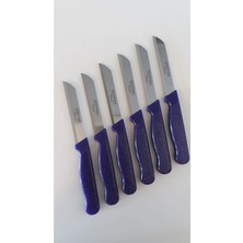 ERHCE Simli Meyve Bıçağı Alman Paslanmaz Çelik 6'lı Mor