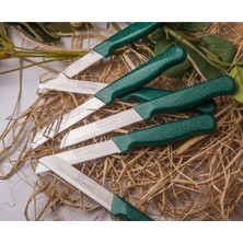 ERHCE Tırtıklı Meyve Sebze Bıçağı Alman Paslanmaz Çelik 12 Adet