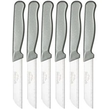 ERHCE Simli Meyve Bıçağı Alman Paslanmaz Çelik 6'lı Gri