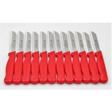 ERHCE Simli Meyve ve Sebze Bıçağı Alman Paslanmaz Çelik 12'li Kırmızı