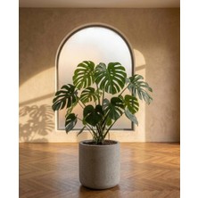 Store Softa Beton Saksı 7lt 24X24 Modern Minimal Dekoratif Iç Mekan Salon Ofis Saksısı Yuka Areka Kaktüs