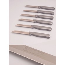 ERHCE Gri Simli Meyve Bıçağı Alman Paslanmaz Çelik Tırtıklı 6,adet