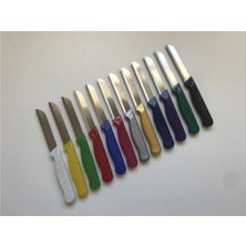 ERHCE 12'li Karışık Renk Simli Meyve Sebze Bıçağı Alman Paslanmaz Çelik Tırtıklı