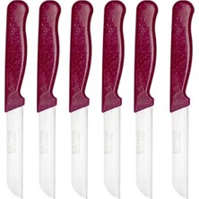 ERHCE I Vişne Çürüğü Simli Desen Meyve Bıçağı Alman Paslanmaz Çelik 6'l