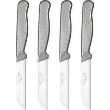 ERHCE Simli Meyve Bıçağı Alman Paslanmaz Çelik 4'lü Gri