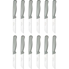 ERHCE Simli Meyve Bıçağı Alman Paslanmaz Çelik 12 Adet