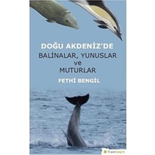 Savlar Store Doğu Akdeniz'de Balinalar, Yunuslar ve Muturlar