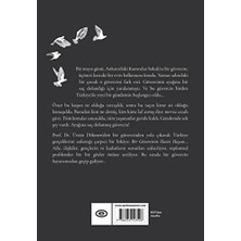 Savlar Store Bir Güvercinin Hazin Hayatı