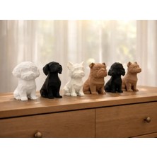 Obliva Modern Dekoratif Geometrik Köpek Biblo Seti (6’lı)