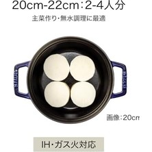 Savlar Store , Döküm Tencere, 40508-703, 20 cm Adaçayı