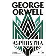 Savlar Store Aspidistra