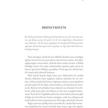 Savlar Store Dişi Fare