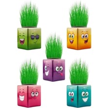 Savlar Store Çim Adam Çimoji 32'li Renkli Küp Şeklinde Çimadam Çimoji