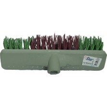Berry Store Star Sert Çalı Fırçası Dış Mekan Bahçe Yer Fırçası Karışık Renk 30 cm