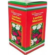 Nk Organik Lanfan Macun 400GR