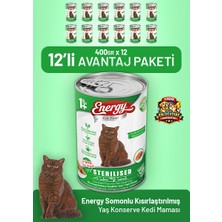 Cat food energy Somonlu Kısırlaştırılmış Yaş Kedi Maması 400 G - 12 Adet