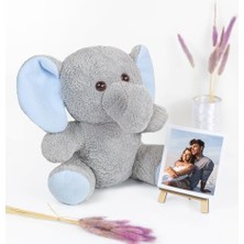 MarkEntegra Şövaleli Ayıcık,çerçeveli Pelüş Ayıcık,ofis Hediyesi Fotoğraflı Ayıcık,20-25 cm Ayıcık,civciv,eşek,maymun,inek,fil,panda,tavşan,hediye (Fil)