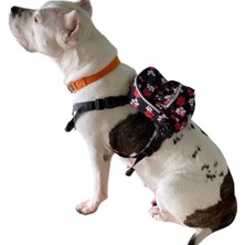 Calperia Su Geçirmez Göğüs Tasması ve Sırt Çantası - Ayarlanabilir, Large Boy