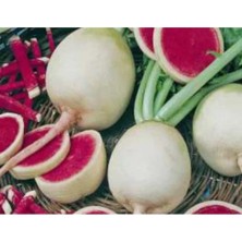 Calperia Çin Turp Tohumu - Aksel - 10 gr