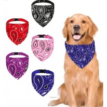 Calperia Büyük Boy Köpekler Için Mavi Renkli Tokalı Boyun Tasması