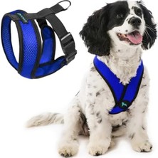 Calperia Boğulma Engelleyici Küçük Köpek Tasma, Patentli Tasarım, M Boy