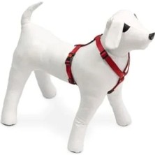Calperia Kilitli Göğüs Tasma, Köpek Için 45-70 Cm, Kırmızı