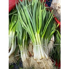 Calperia Doğal Yeşil Soğan Tohumu - 5 Adet