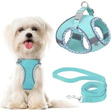 Calperia Yansıtıcı Nefes Alabilir Fileli Ayarlanabilir Köpek Tasması ve Kayışı Seti