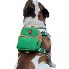 Calperia Çok Cepli Ayarlanabilir Köpek Göğüs Tasması - Geri Dönüştürülmüş Malzeme