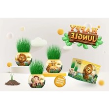 Calperia Xl Çim Adam Seti - 6'lı Eğitici Bitki Yetiştirme Kiti