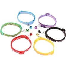 Calperia Kırmızı Kedi Boyun Tasması 19X1 cm