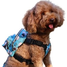 Calperia Su Geçirmez Köpek Sırt Çantası - Çantalı Göğüs Tasması, Ayarlanabilir, Büyük Boy